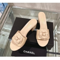 Grade Quality Chanel...