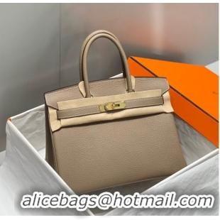 Good Taste Hermes Birkin 25cm Bag in Togo Calfskin 1227 Dove Grey/Gold