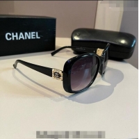 Popular Chanel Sunglasses CH041010 Black/Purple 2024