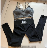 Cheapest Celine Yoga Activewear Set 0509 Grey/Black 2024